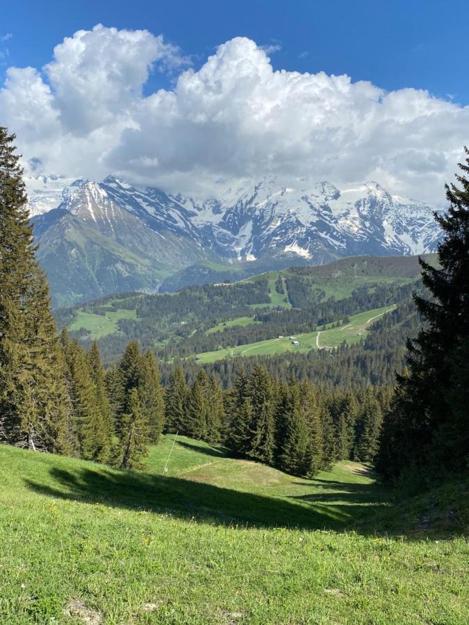 Apartmán L Eterlou - 6 A 8 Personnes Saint-Gervais-les-Bains Exteriér fotografie
